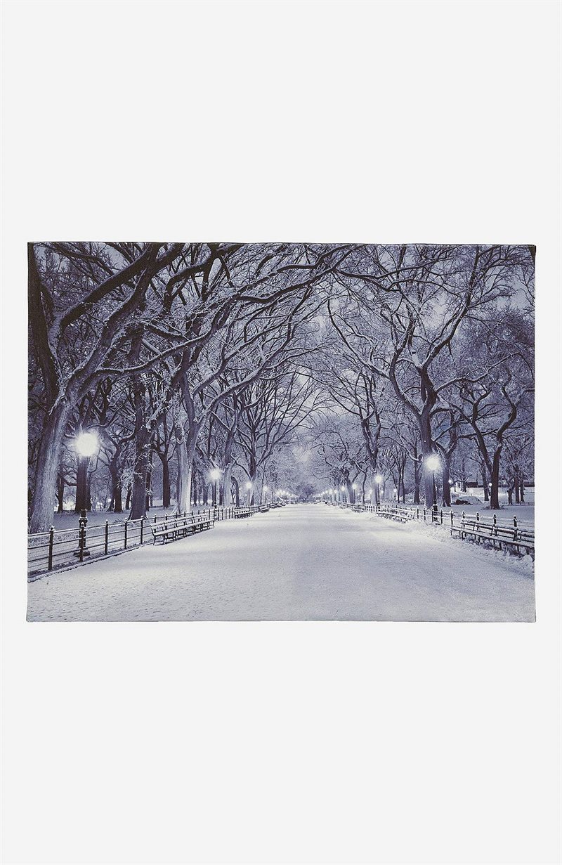 Image of LED-taulu Park