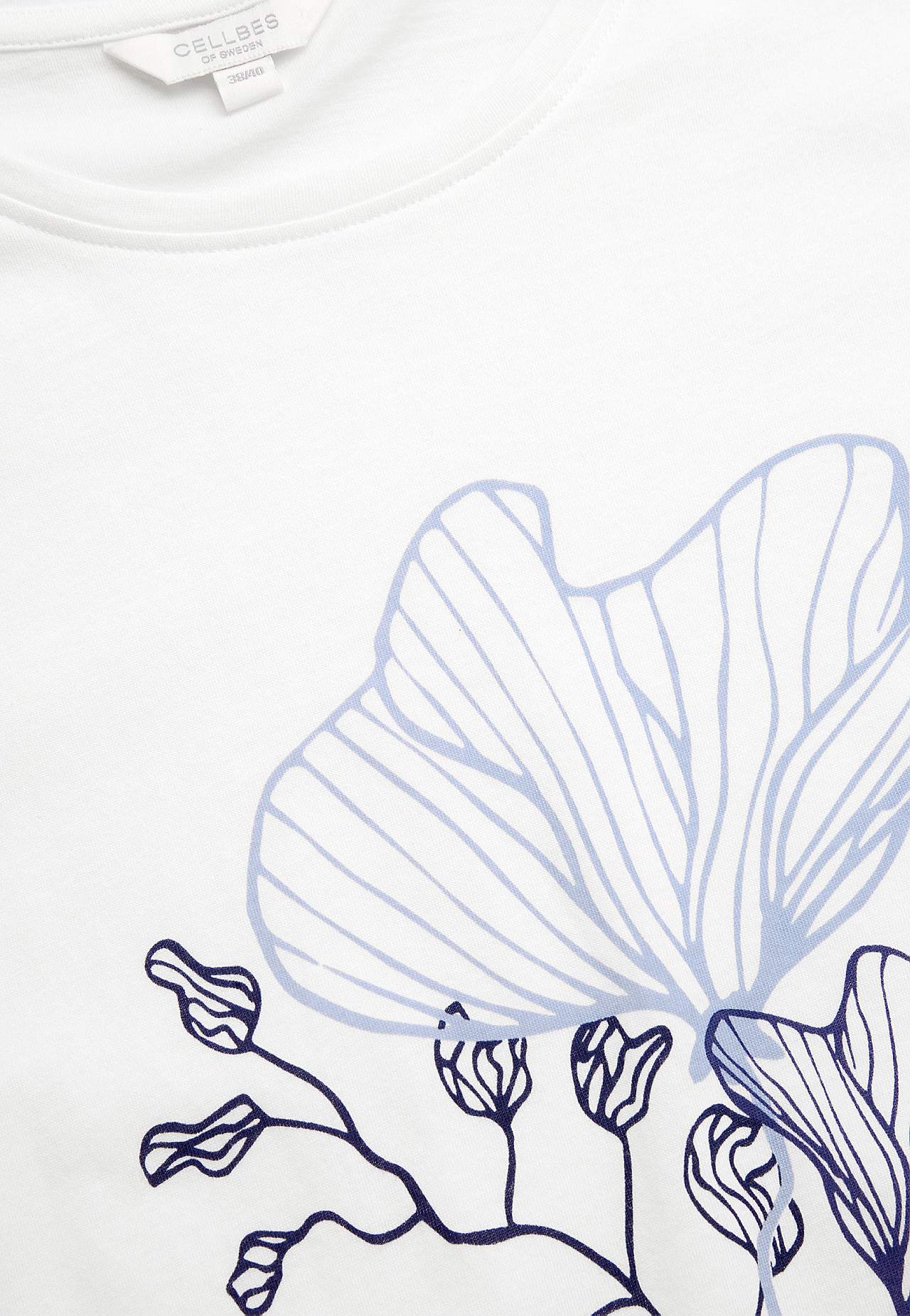 Lyhythihainen yömekko